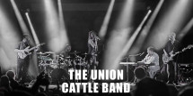 Union Cattle Band